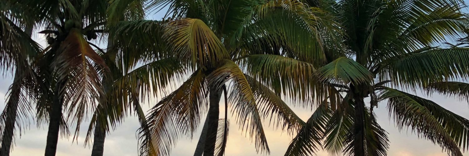 PEPISPER's profile banner image