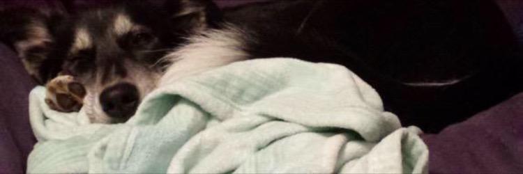 JasmineRandle01's profile banner image