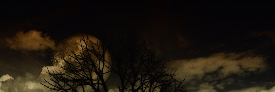 Tujay68's profile banner image