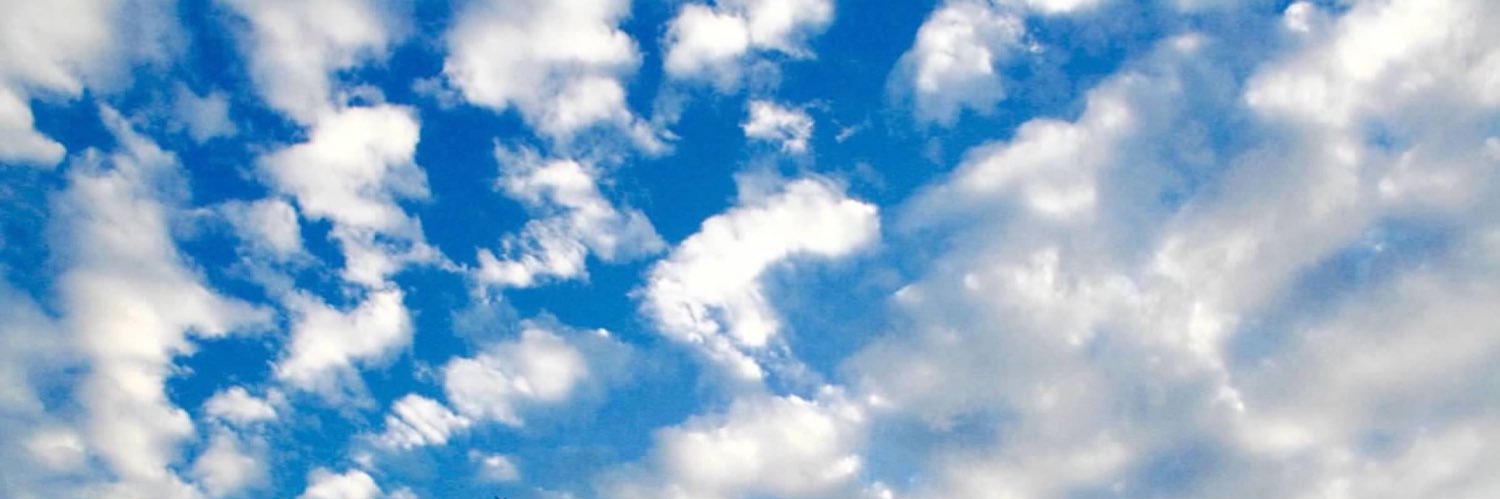 emma banner