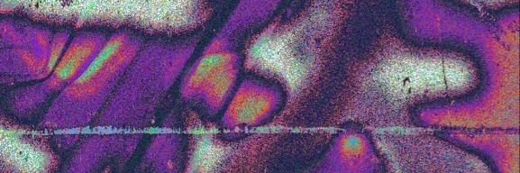 mailensuarez1's profile banner image