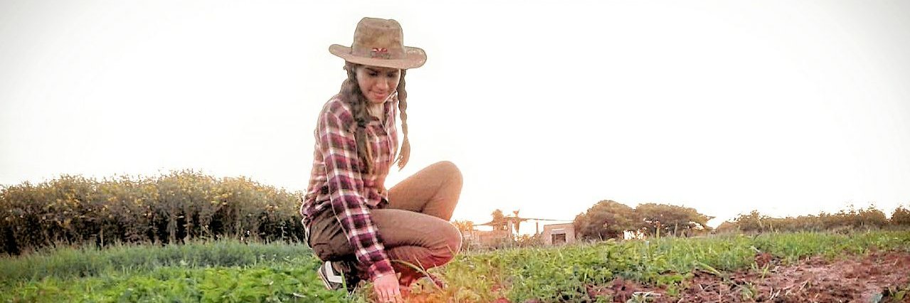 MicaMend's profile banner image