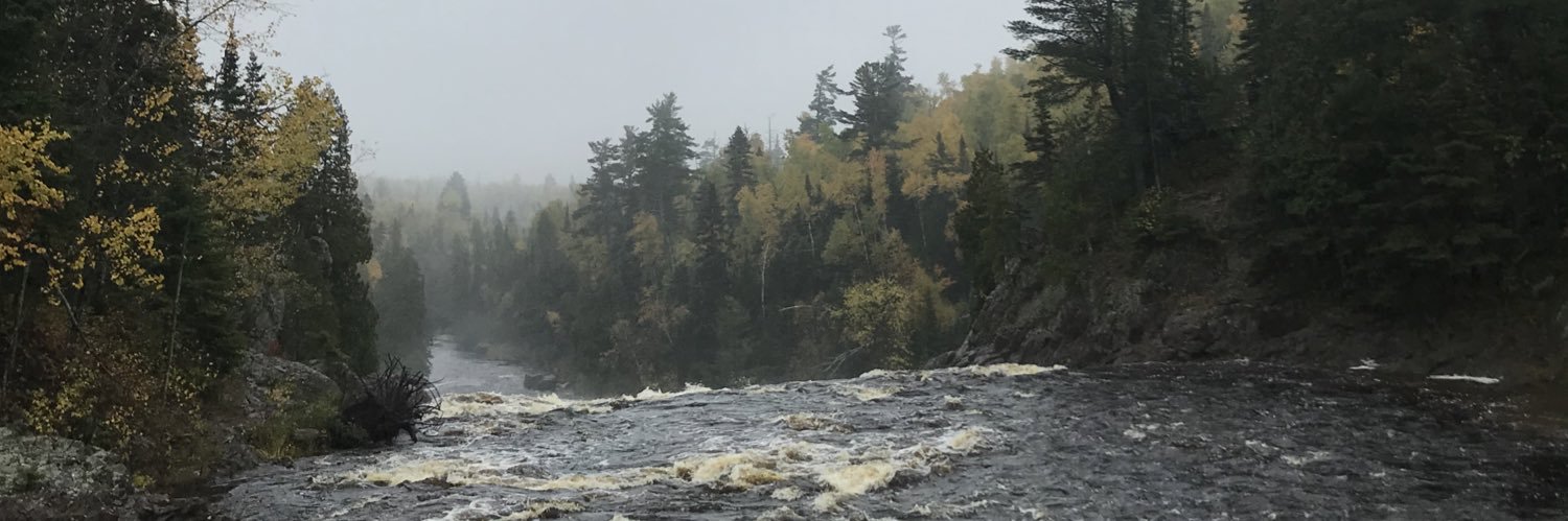 Linsey Leadbetter banner