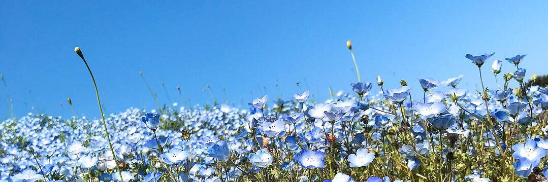 Yn_mmm's profile banner image