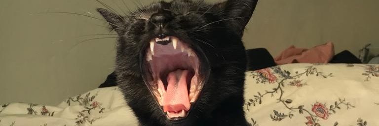 SantiagoGar's profile banner image