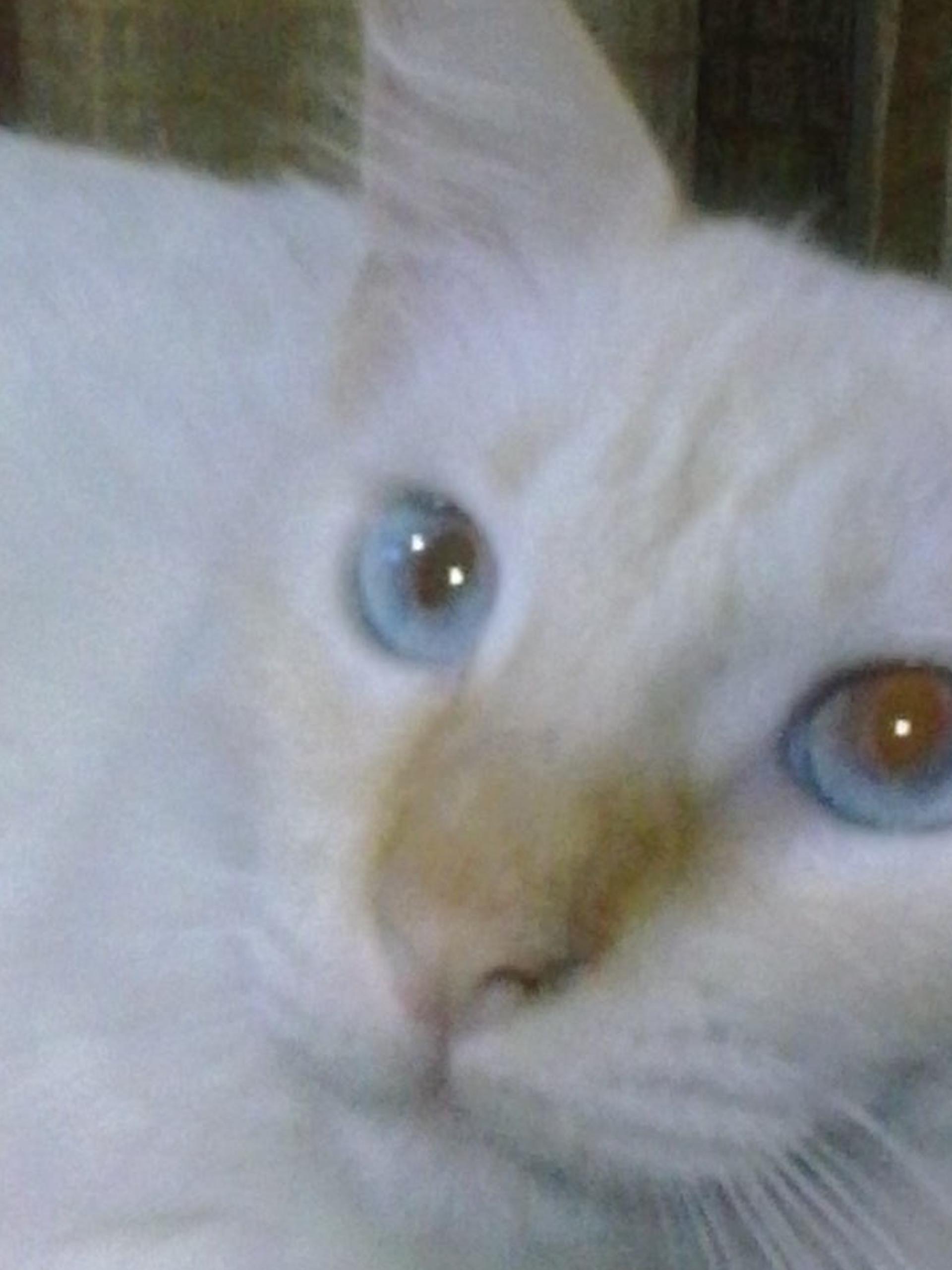 Jacquehurtado4's profile banner image