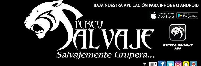stereosalvaje's profile banner image