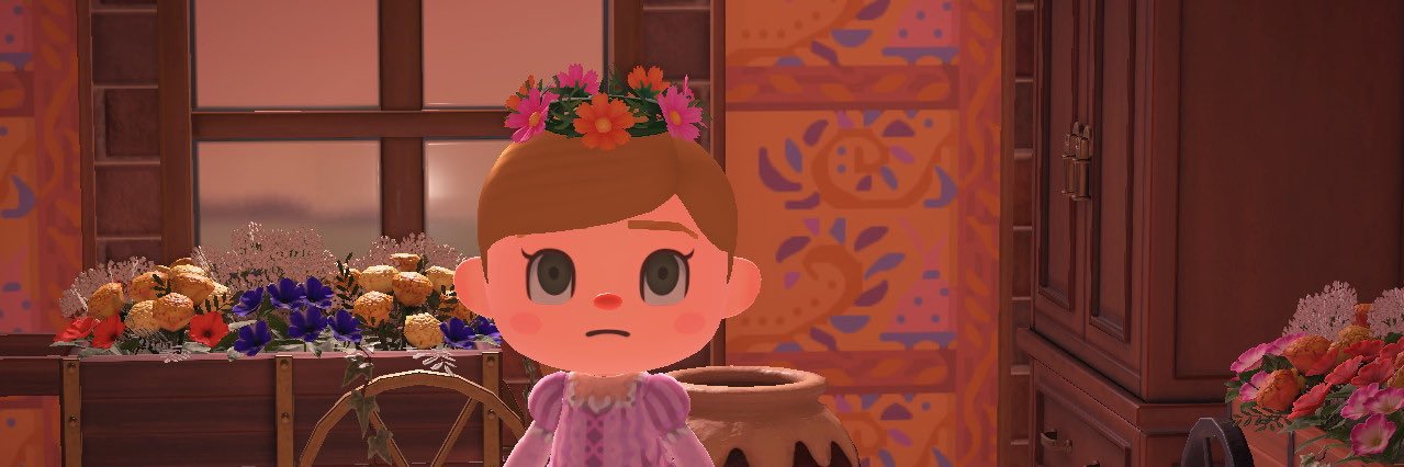 raine_raito's profile banner image