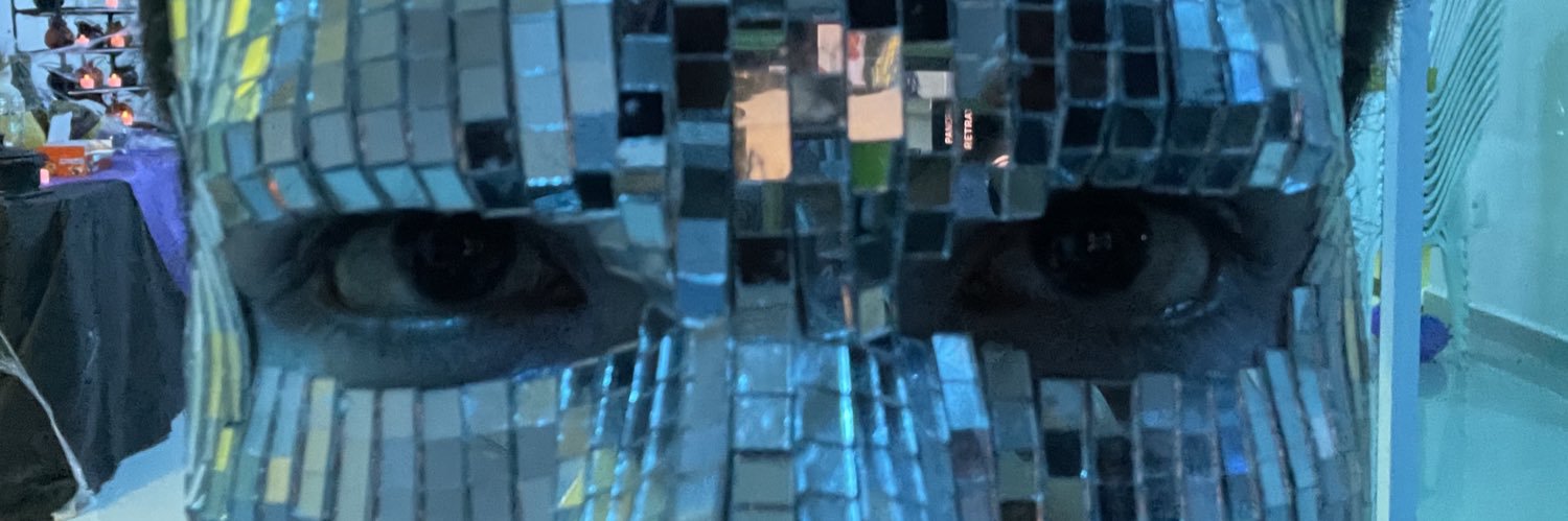 sashinsabaue's profile banner image