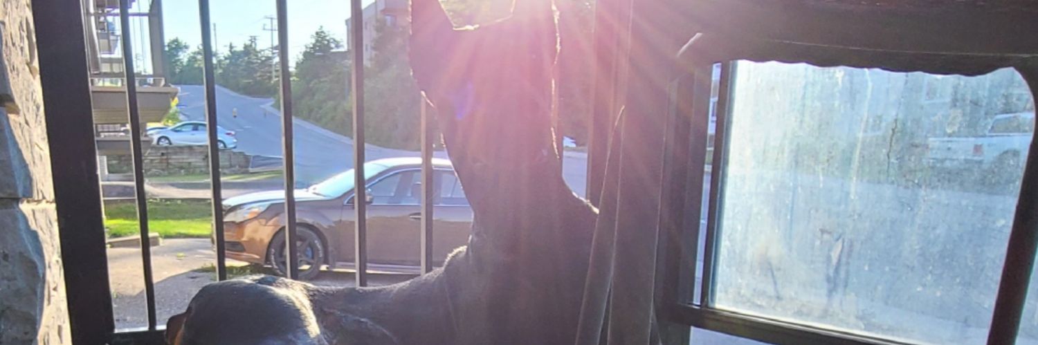 ChrisDFraser's profile banner image