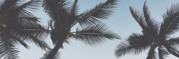 bopsweeney's profile banner image