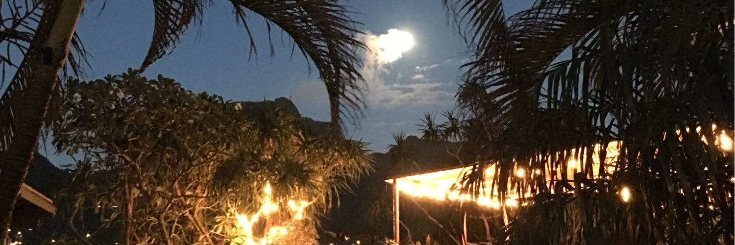 Claudia M Fegan MD banner