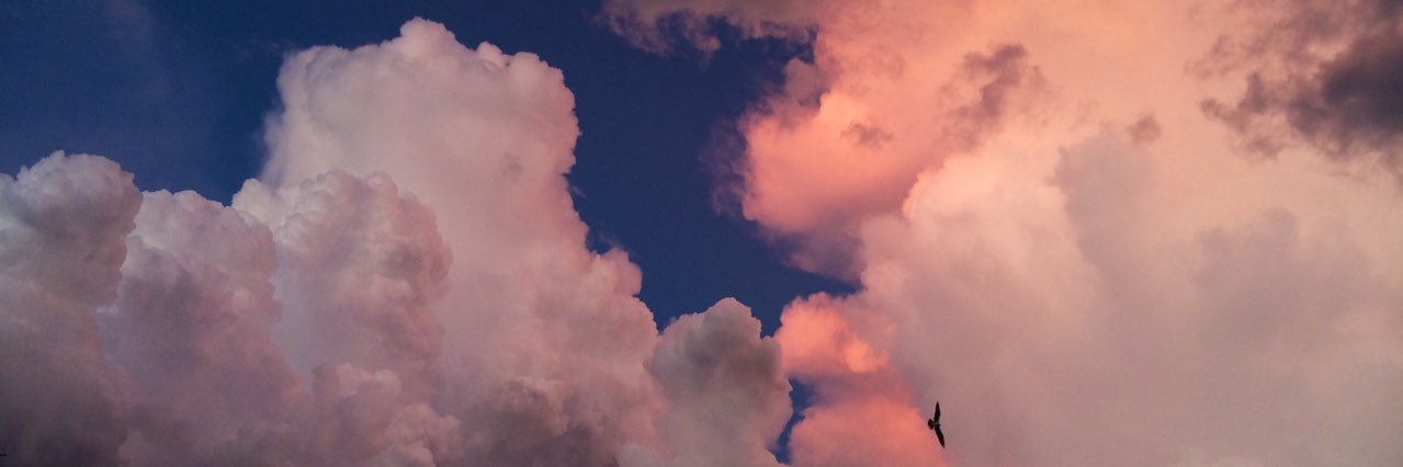 bitczes's profile banner image