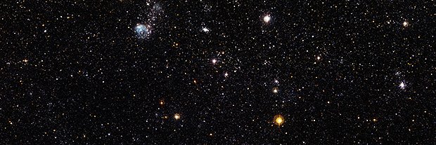 Tanisha Williams banner