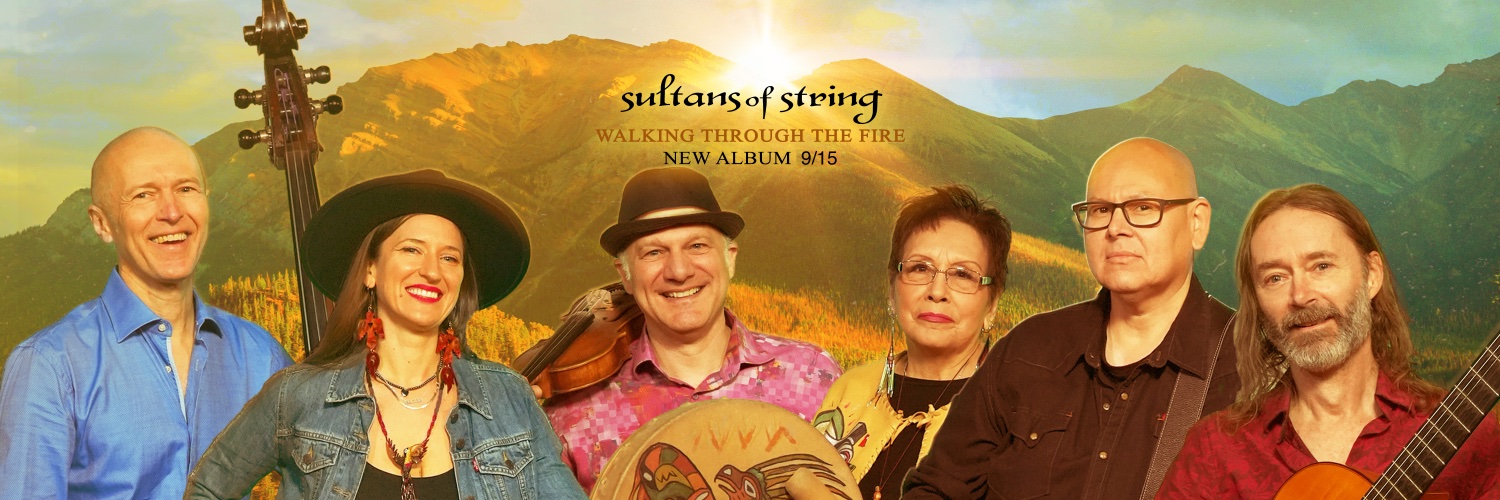 Sultans of String banner