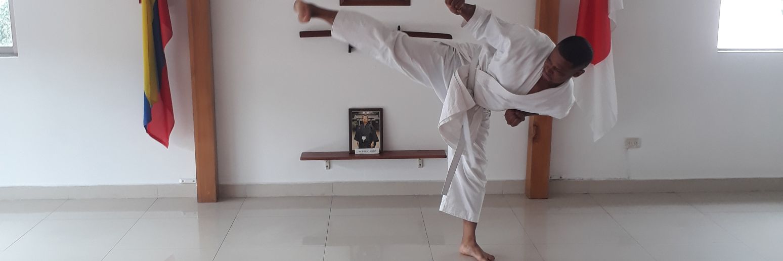 Fabionelsson's profile banner image