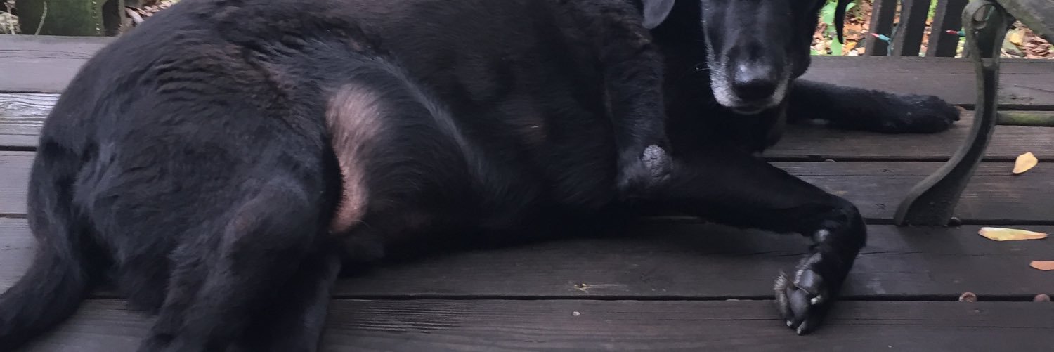 gsrchesson's profile banner image