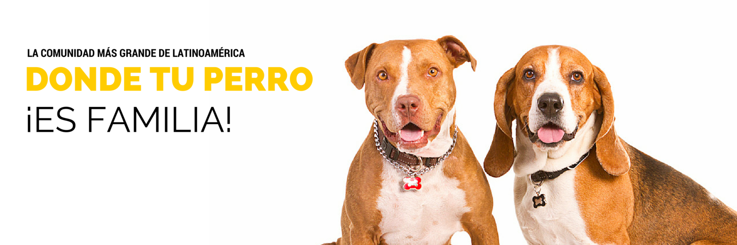PerroContento.com banner