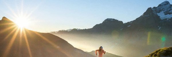 Claudia Schroegel banner