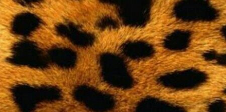 BarbaraMelo94's profile banner image