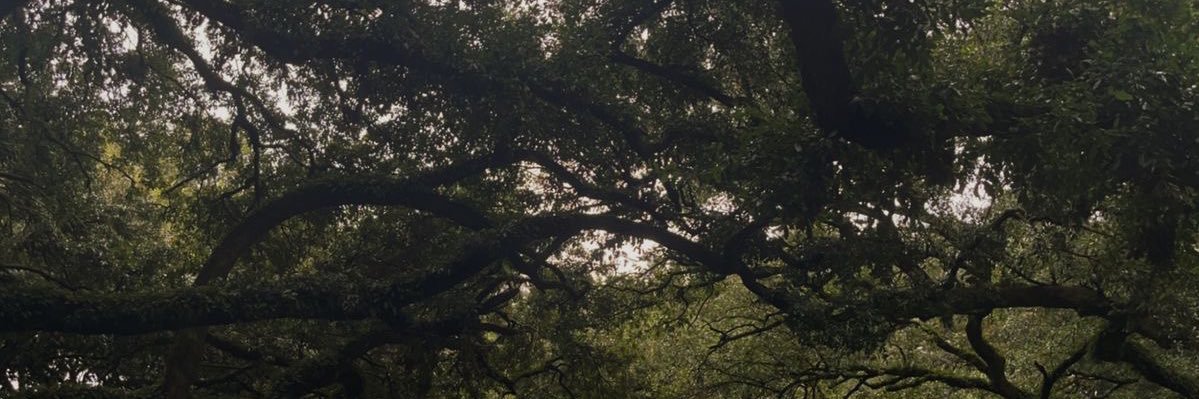 macyyhoward's profile banner image