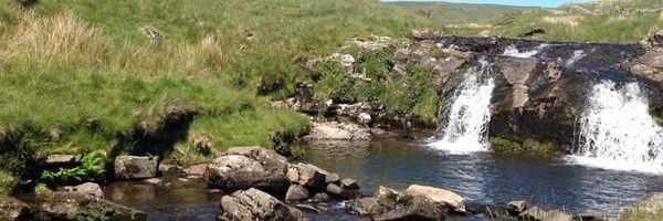 laurennotts's profile banner image