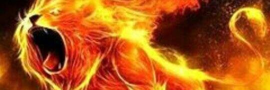MichiSoiferFPO's profile banner image