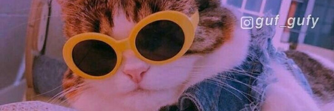 cantero_3's profile banner image