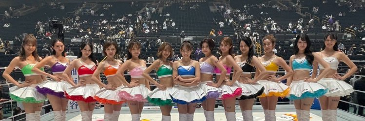 rizingirl_mma's profile banner image