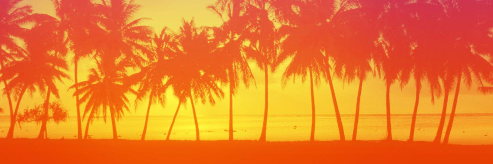 ZitlayZicatela's profile banner image