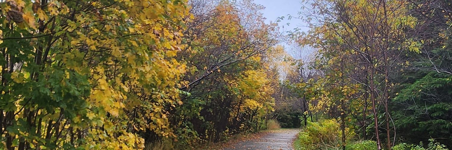 Ryan_S_77's profile banner image