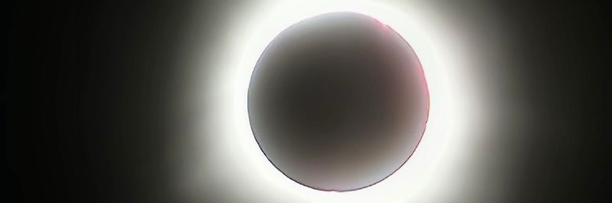 DeDominicisNick's profile banner image