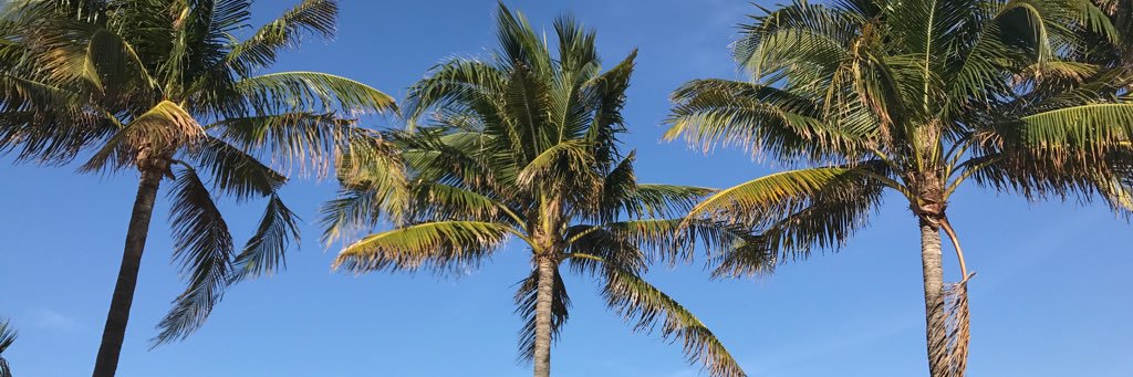Nicole_Such's profile banner image