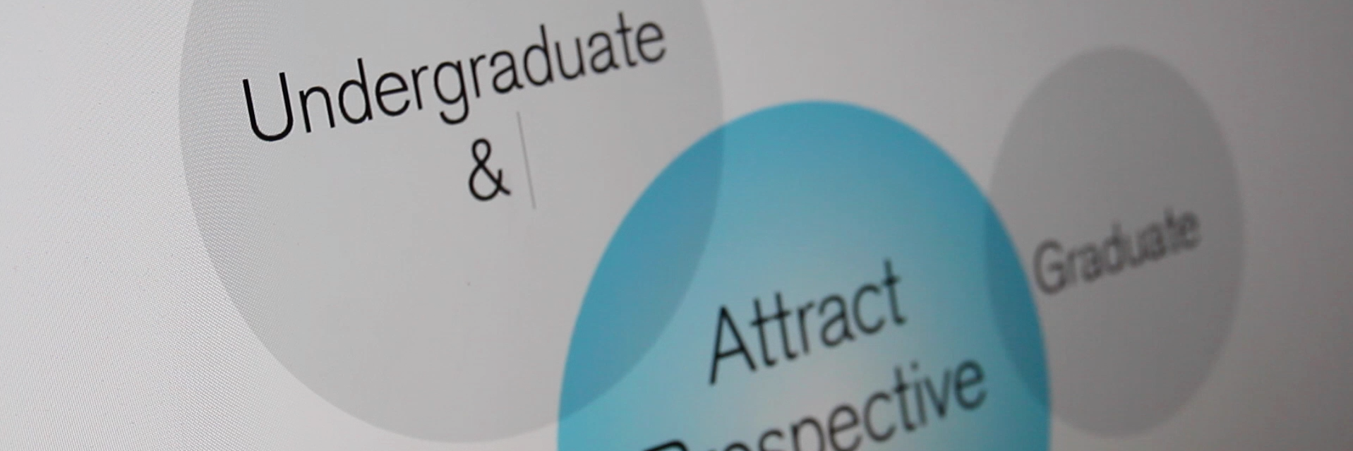 sotodesign's profile banner image