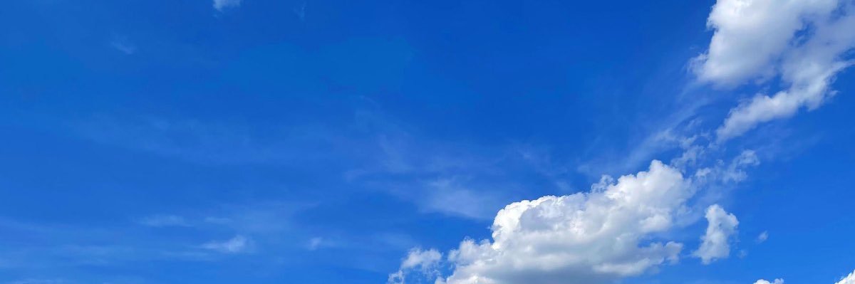 Daniel Moser / profile inactive banner