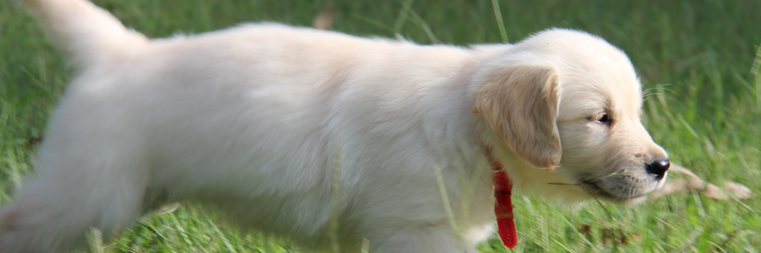 heidimpiper's profile banner image
