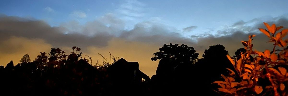 ManuelaAlvr's profile banner image