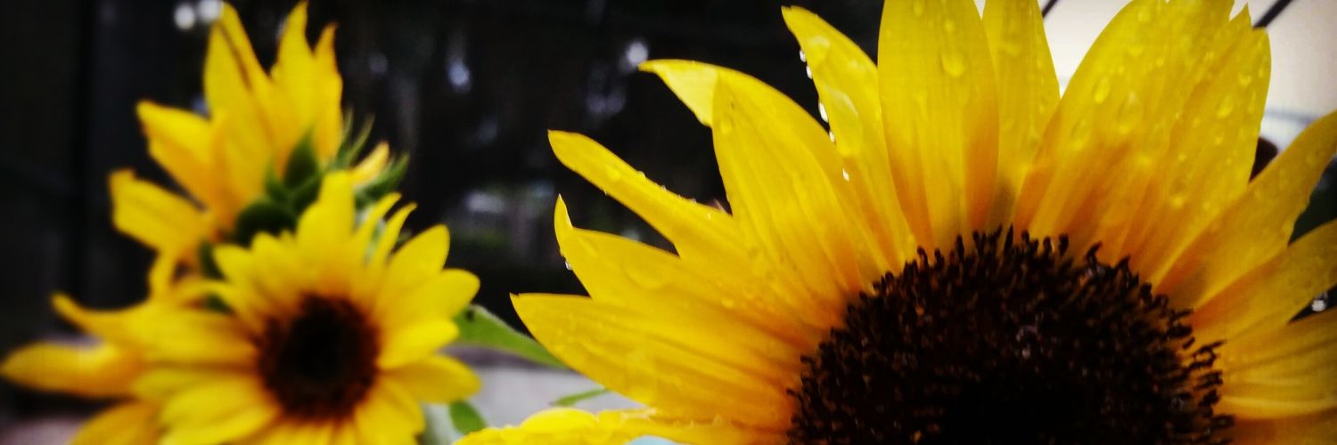 EOJProducer's profile banner image