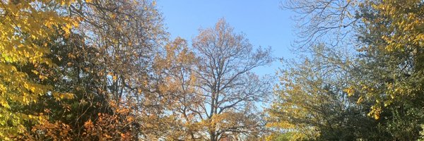 JMPSimor Profile Banner