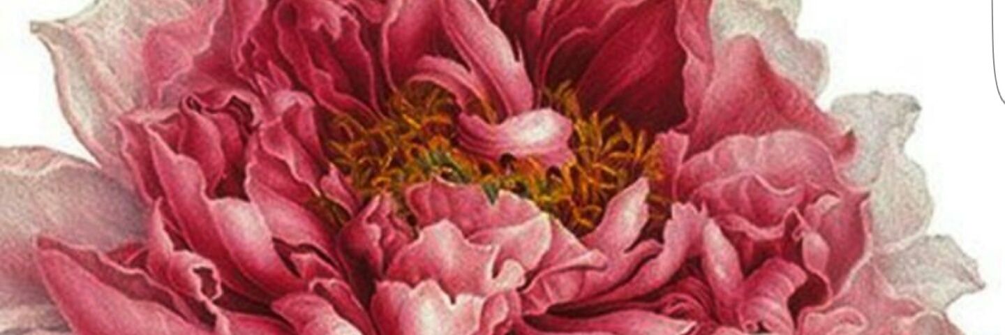 falconnestorg's profile banner image