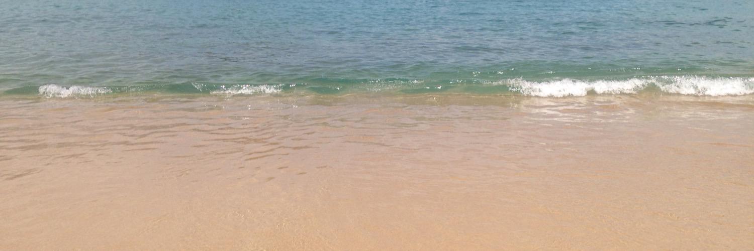 eli790930's profile banner image