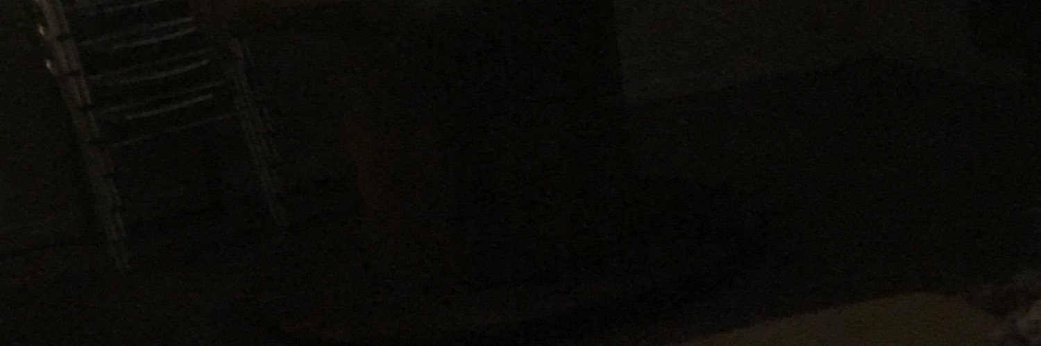 saraperezro's profile banner image