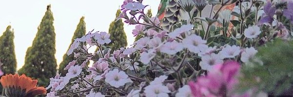 tuppi14 Profile Banner