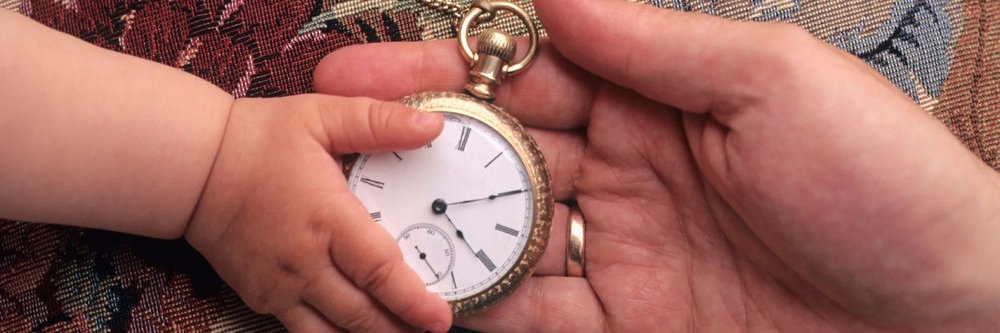 Family Business Solutions banner