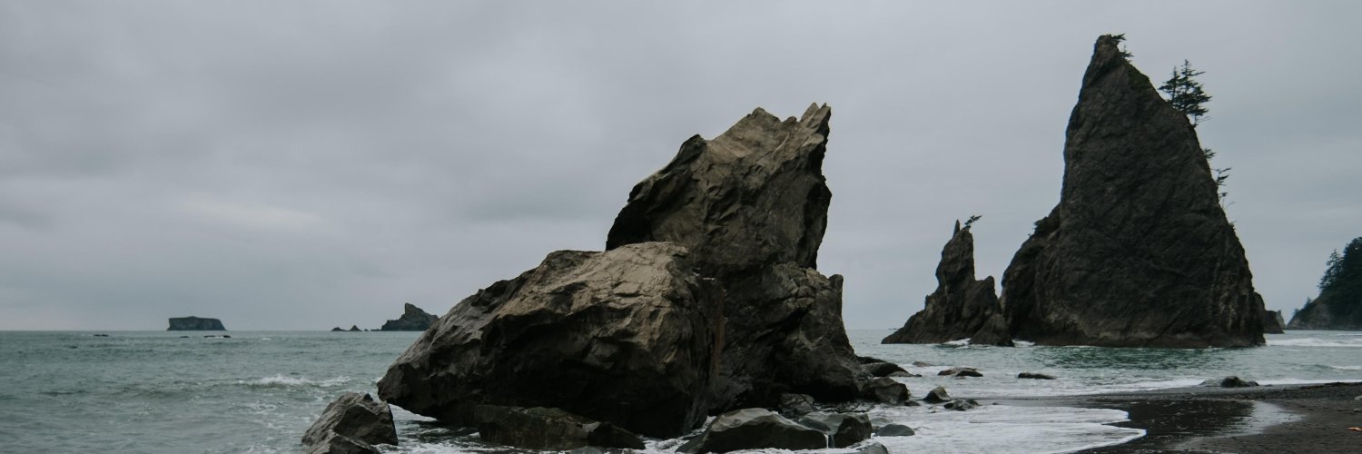 DeBorkner's profile banner image