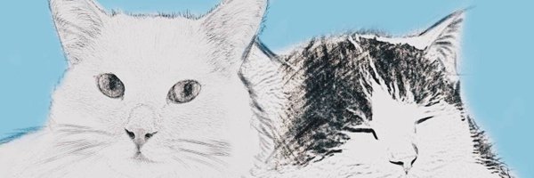 twingoniko Profile Banner