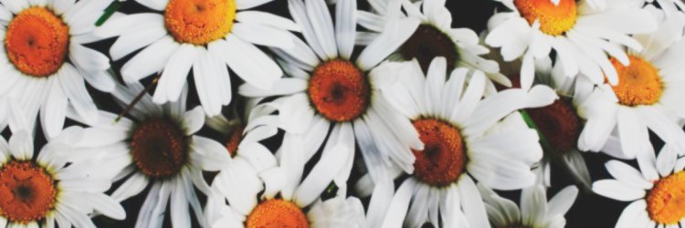 eunniceeeeee_'s profile banner image