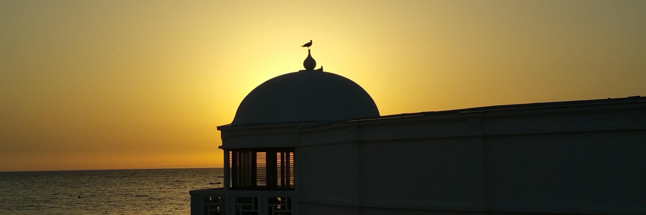 tongomezro's profile banner image