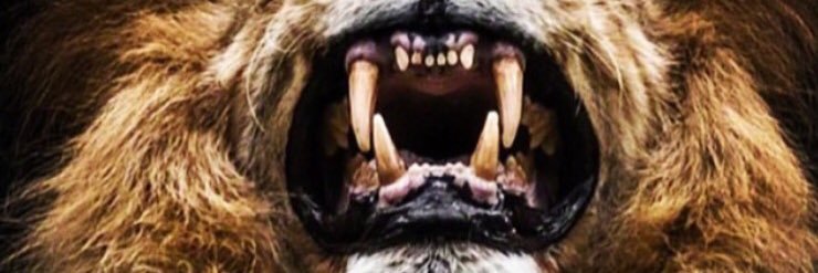 Nwunye Director banner