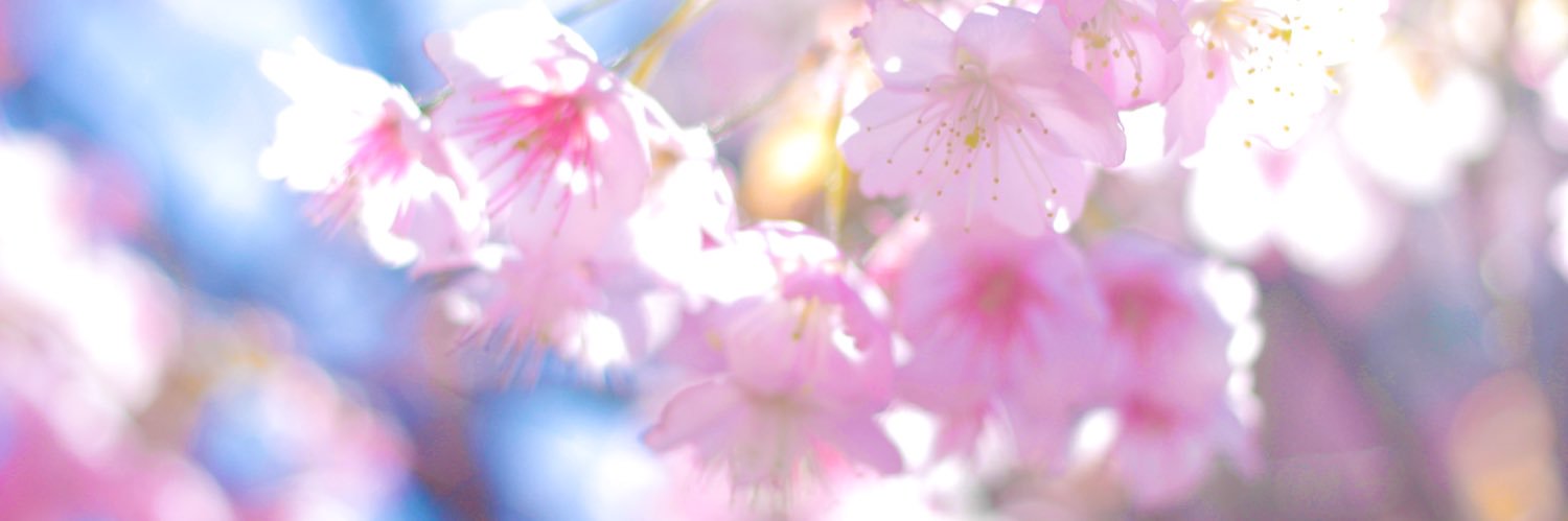 yuummy4's profile banner image